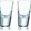 Rogaska 90 Degrees Shot Glasses, Set Of 2 -Shop Kitchen Cliques 51tATOvhQNL. AC SL1200
