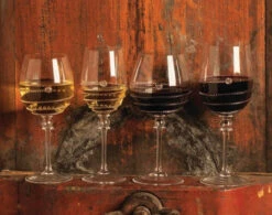 Juliska Amalia Light Body White Wine Glass 10 Juliska Amalia Light Body White Wine Glass -Shop Kitchen Cliques Screenshot2023 05 09123733