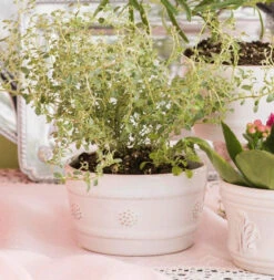 Juliska Berry & Thread Whitewash Ramekin -Shop Kitchen Cliques Screenshot2023 05 09143440