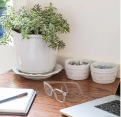 Juliska Berry & Thread Whitewash Ramekin -Shop Kitchen Cliques Screenshot2023 05 09143512