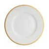 Prouna Comet Gold Dinner Plate -Shop Kitchen Cliques comet gold 621478 2048x 69e75697 c8a3 4060 a2c6 be72fb81d302