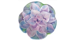 Merritt International Sweet Succulent Salad Plate