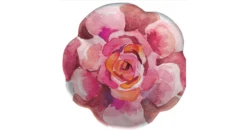 Merritt International Sweet Succulent Salad Plate -Shop Kitchen Cliques merritt20854